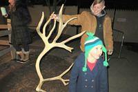 The Antler is Taller Than Thomas