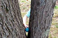 Sneaking in for the Prize