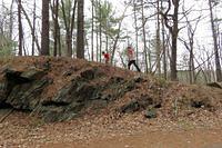 Taking the High Road