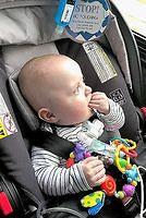 Checking Out the View