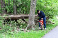 May Weekend in Morristown