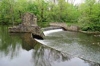 Speedwell Reflections