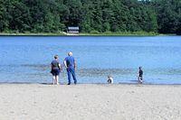 Great Day at the Park