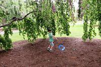 Frisbee in a Tree Cave