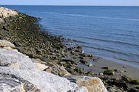 Taking a Break Along a Rocky Beach