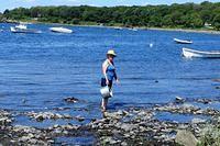 Bay Water for Lobsters!