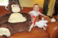 Just Monkeying Around