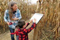 Thomas Filling in the Words