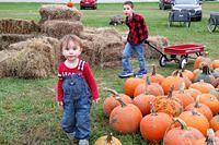 On the Hunt For the Perfect Pumpkin