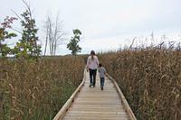 Mommy and Son Strolling