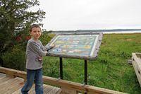 Thomas Explaining the Wildlife We Might See