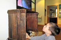 Video Art With Nature