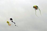 Crazy Huge Kites