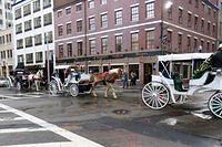 Horse and Carriage Parade