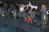 Top of the Tank Viewing