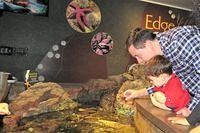 Daddy and Isaac Starfish Gazing