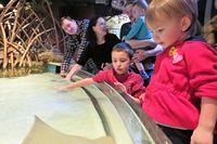 Thomas Patiently Waiting