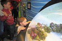 Now That's a Water Globe!