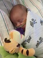 104407 17b9dae6c36b6b730c92d0bdb11a19e6