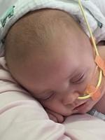 104407 7ada55c81796318e0431201ad7c5e325