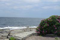 And Looking the Other Way!