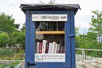 Love a Little Library