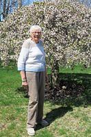 Mom and the Cherry Tree