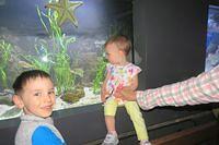 Checking Out the Giant Tank