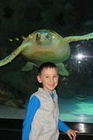 Posing With a Loggerhead Sea Turtle