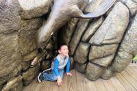 Under the Fur Seal Sculpture