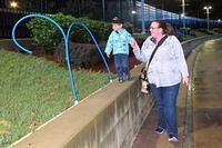 Balance Beam Walking