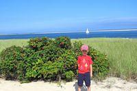 Posing With the Beach Plums