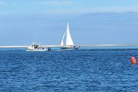 Motoring and Sailing