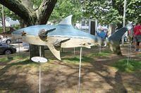 Horseshoe Crab Shark