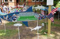 Patriots Shark