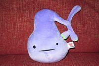 Breanna's New Gallbladder aka Tortilla