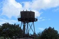 Water Tower Perching