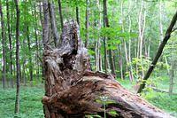 One of My Favorite Stops