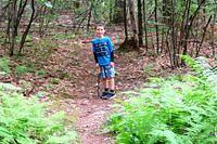 Thomas Amid the Ferns