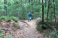 Racing Down the Hill