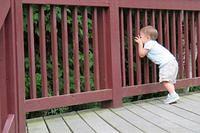 What Do You See Evie Lee?