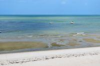 Disappearing Sandbars