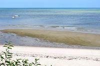 Beach Below the House