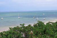 Bobbing Sailboats in the Bay