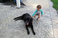 Quick Pat as She Runs By