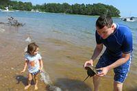 Another Horseshoe Crab Evie