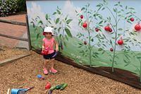 Cutest Little Farmer
