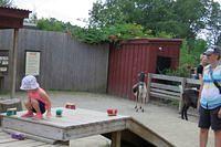 Picking out Just the Right Brush