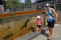 Balance Beaming With Mommy