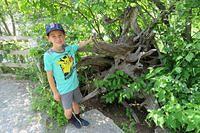 Thomas and Crazy Tree Roots